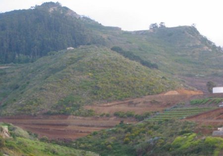 ca�a al monteverde