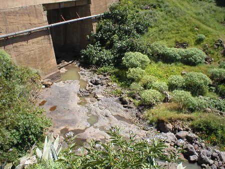 Vertido en La Piterita