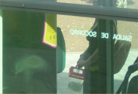 La serpiente en la guagua