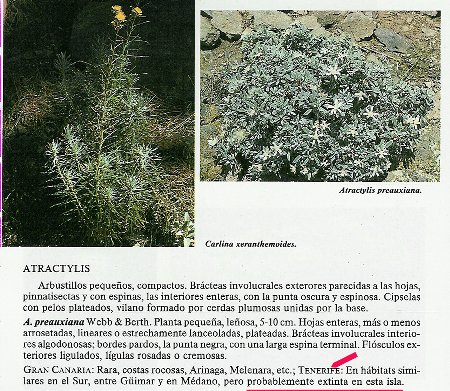 Publicaci�n en un libro