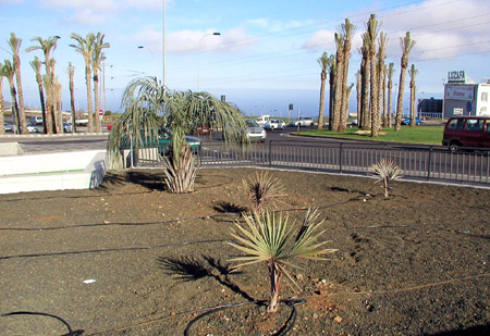 Ajardinado del enlace