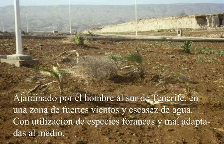 Jardines artificiales