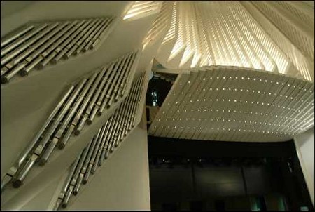 Detalle del �rgano