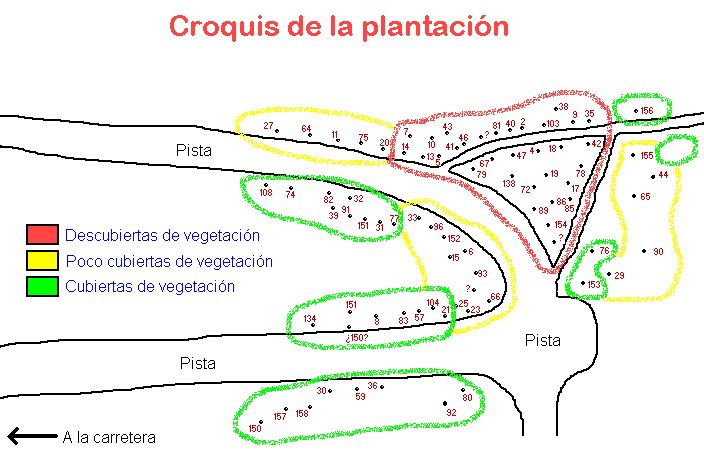 croquis de la plantaci&oacute;n