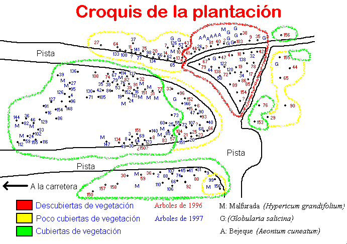 croquis de la plantaci&oacute;n