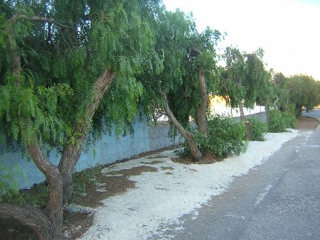 La Rotonda del pol�tico in�til