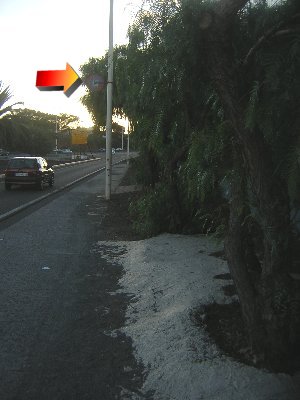 La Rotonda del pol�tico in�til