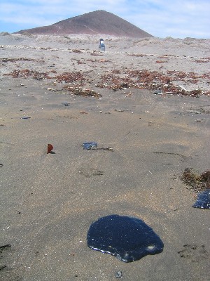 Piche en El M�dano