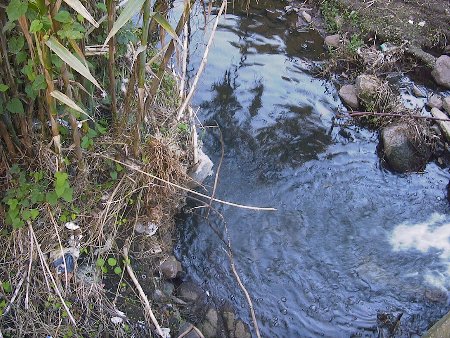 San Roque district, La Laguna