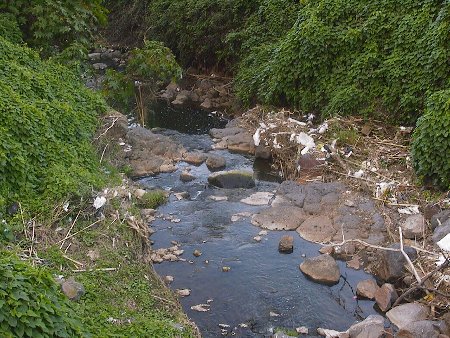 San Roque district, La Laguna