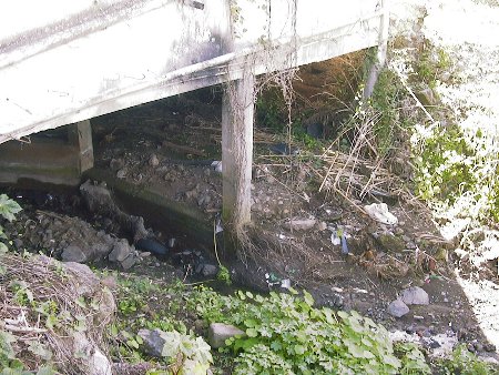 El Calvario, Tacoront