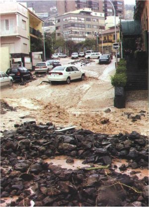 Rambla, junto al Mencey