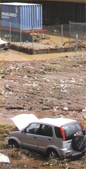 D�rsenas del puerto