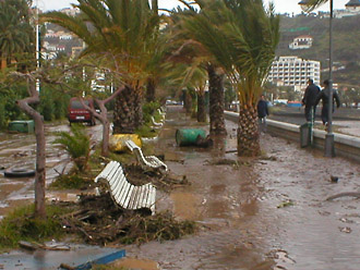 Temporal en La Gomera