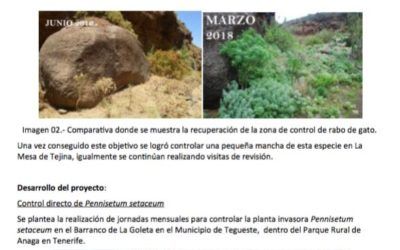 Memoria de Actividades de ATAN en 2019