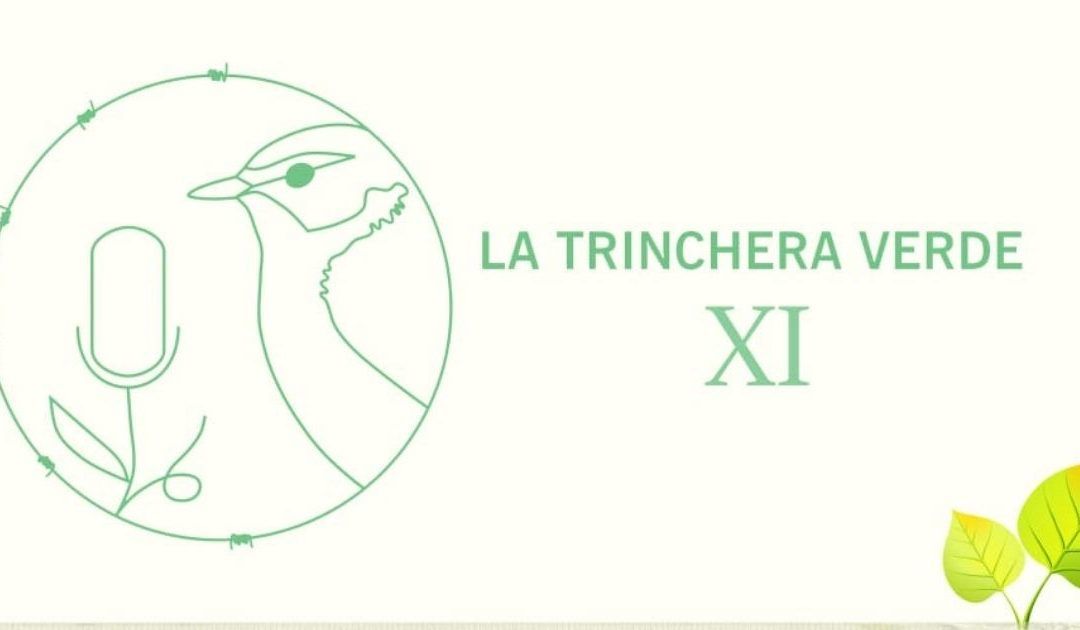 La Trinchera Verde 11: Fundación Kilian Jornet. Luchar contra el cambio climático desde las montañas – Problemática del ganado asilvestrado en los Espacios Naturales Protegidos. Ganado guanil en Canarias.