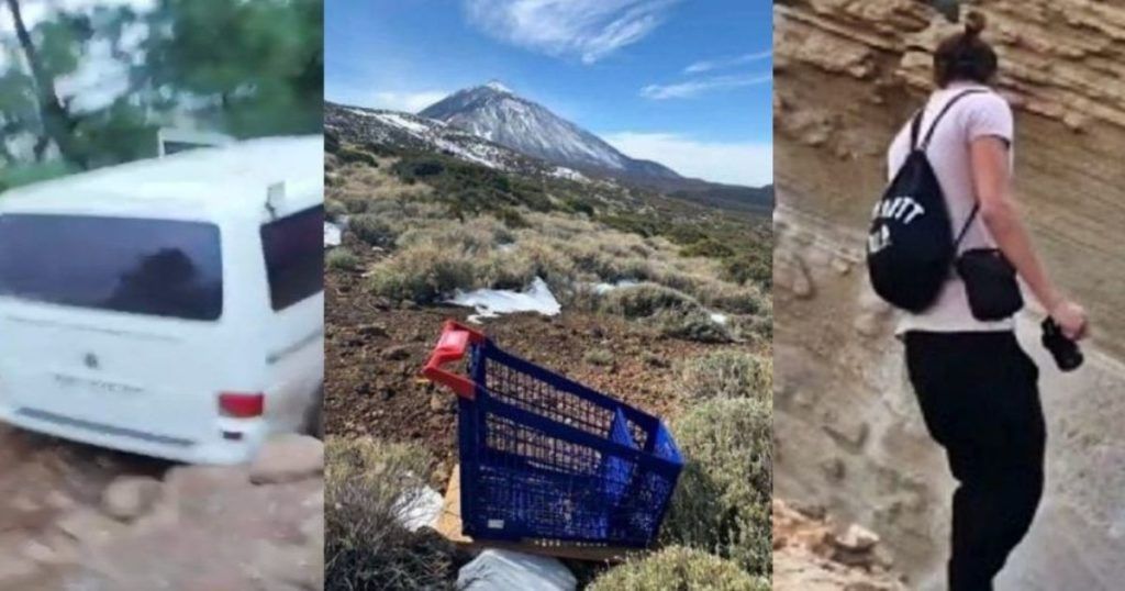 Vandalismo medioambiental