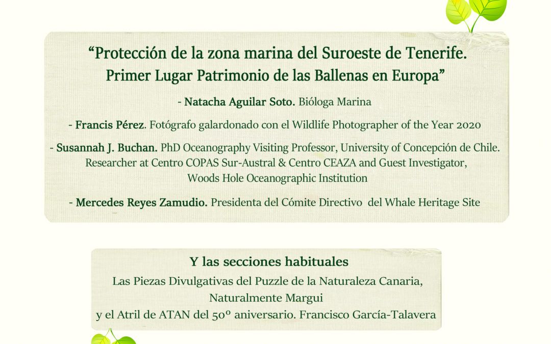 La Trinchera Verde 14 – 2ª Parte: Protección de la Zona Marina del Suroeste de Tenerife. Primer lugar Patrimonio de las Ballenas en Europa