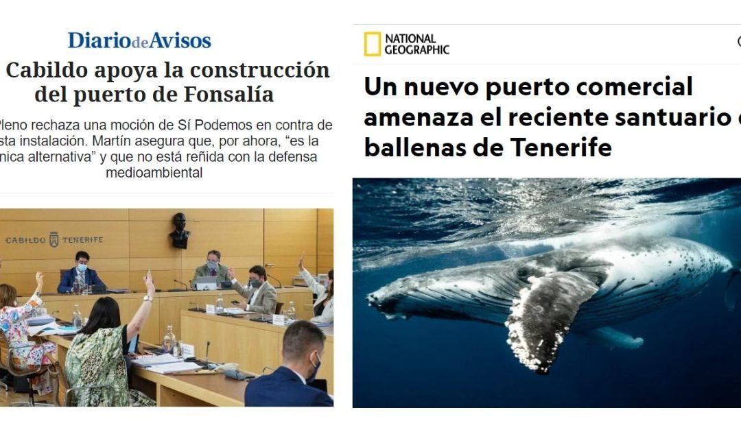 Cabildo de Tenerife y el Puerto de Fonsalía
