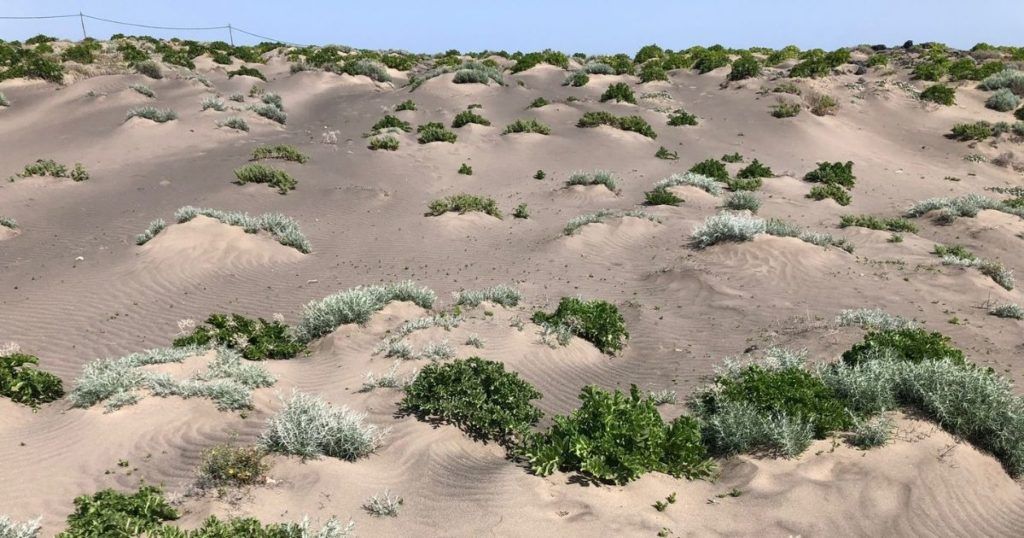 Dunas en El Porís de Abona