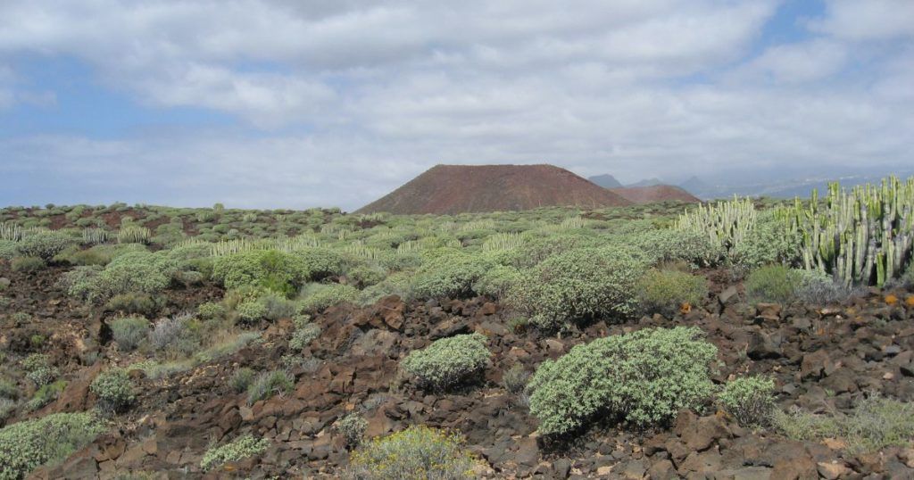 Malpaís Punta de La Rasca - Foto de Jose Mesa
