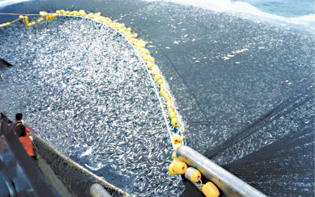 El Gobierno español, con el apoyo del Gobierno de Canarias, utiliza a la UE para introducir el cerco industrial en aguas de Canarias